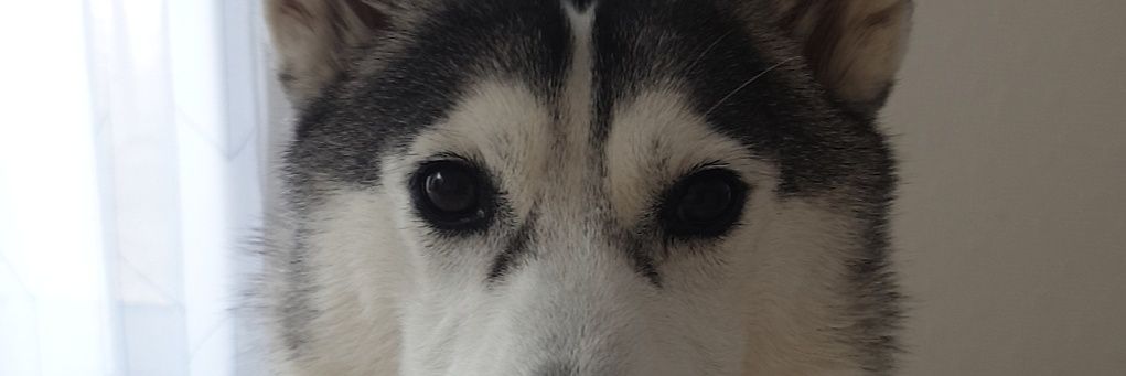 camilleecc's profile banner image