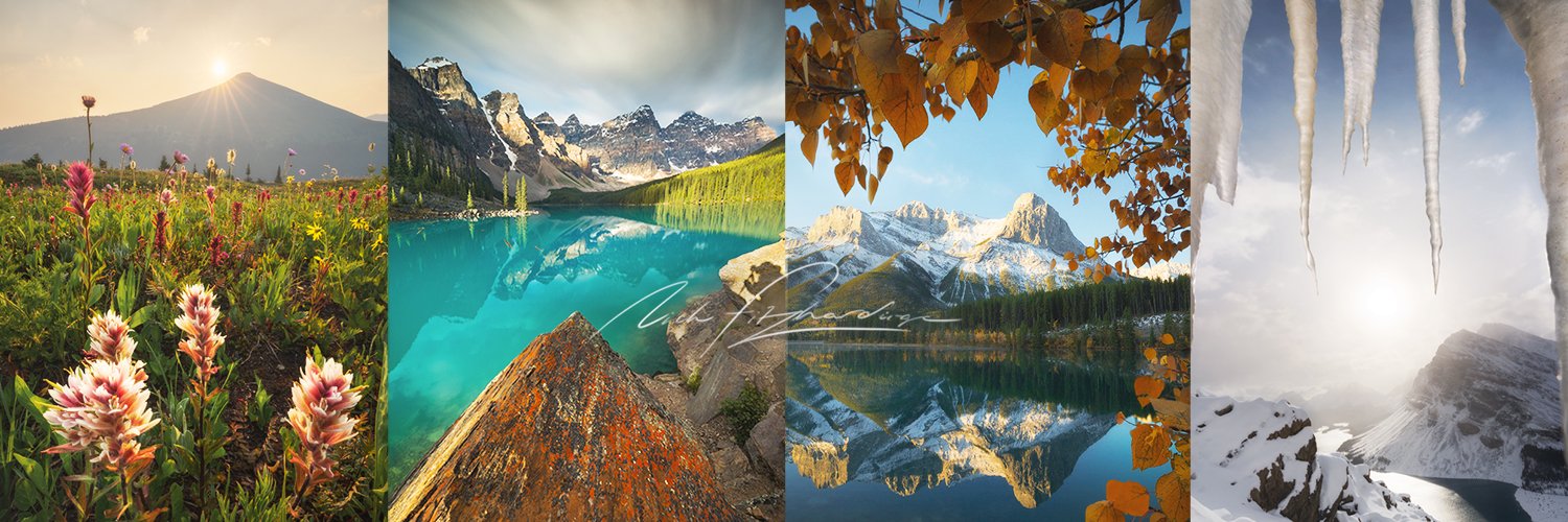 nfitzphoto's profile banner image