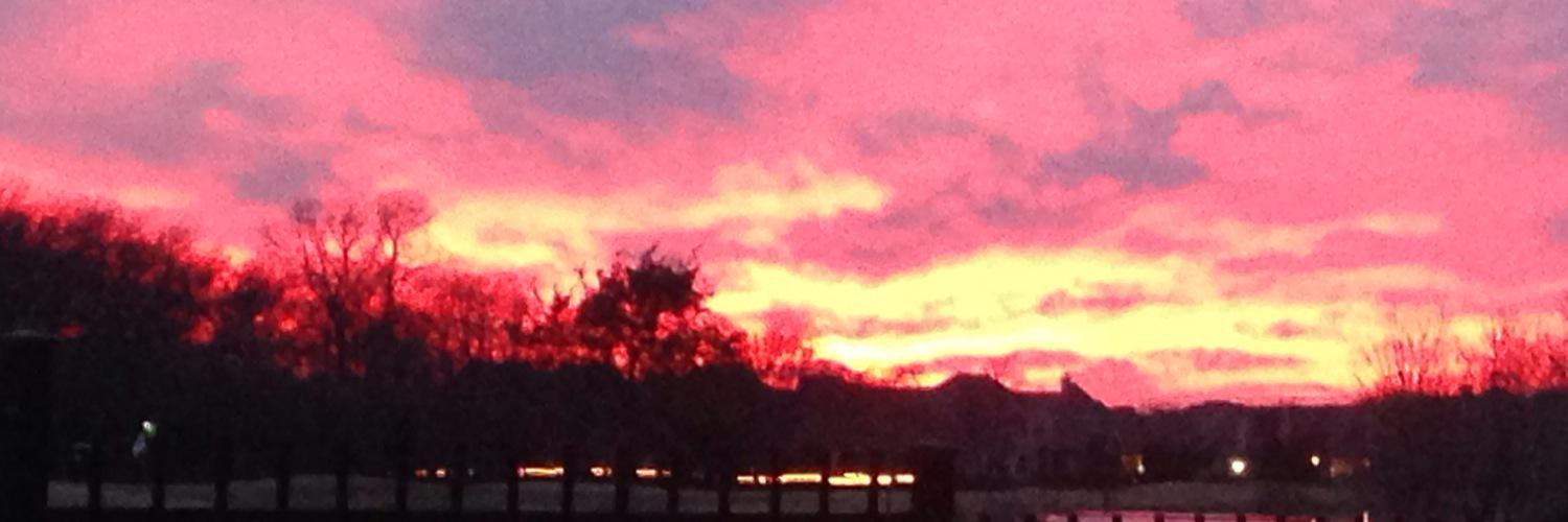 Suzanne Campbell banner