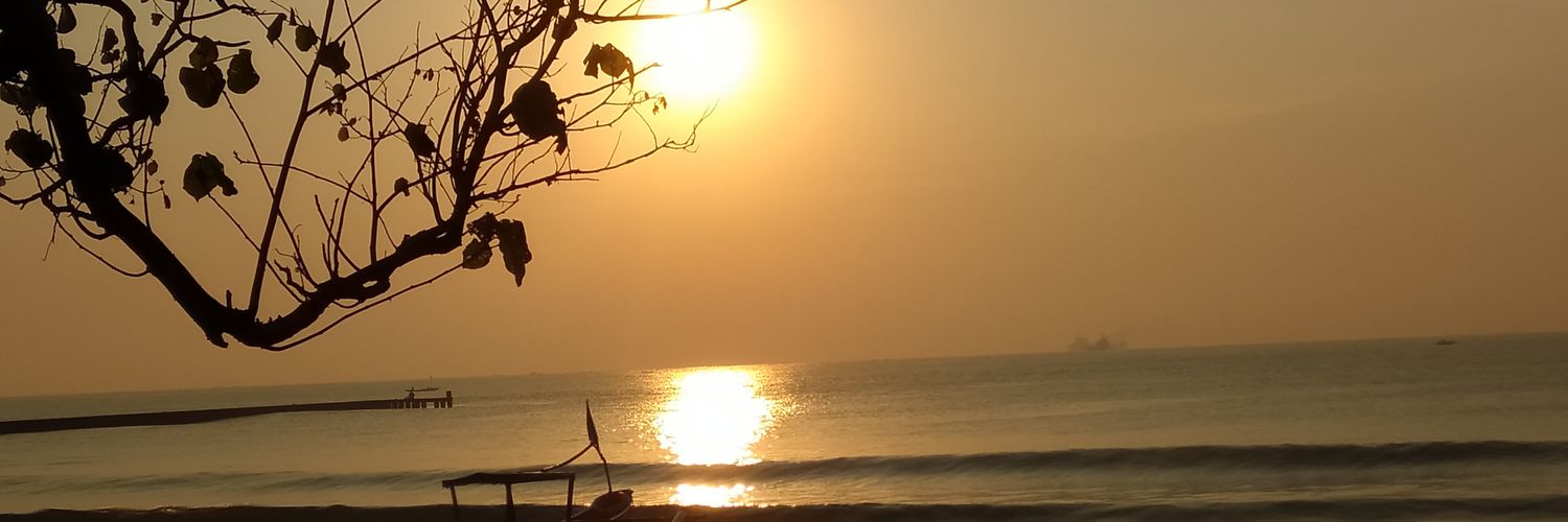 shewills's profile banner image