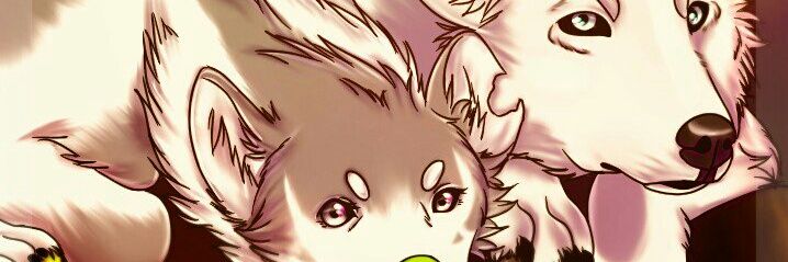 CyatheWolf's profile banner image
