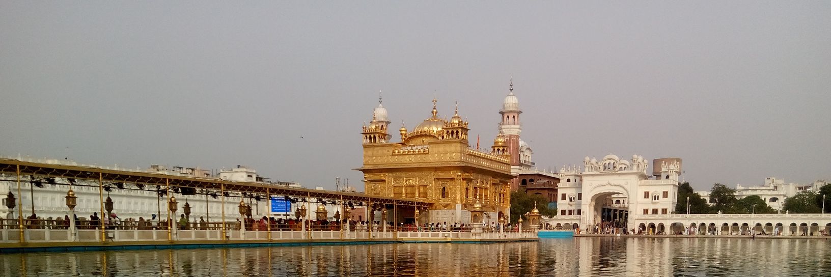 nvkaur22's profile banner image