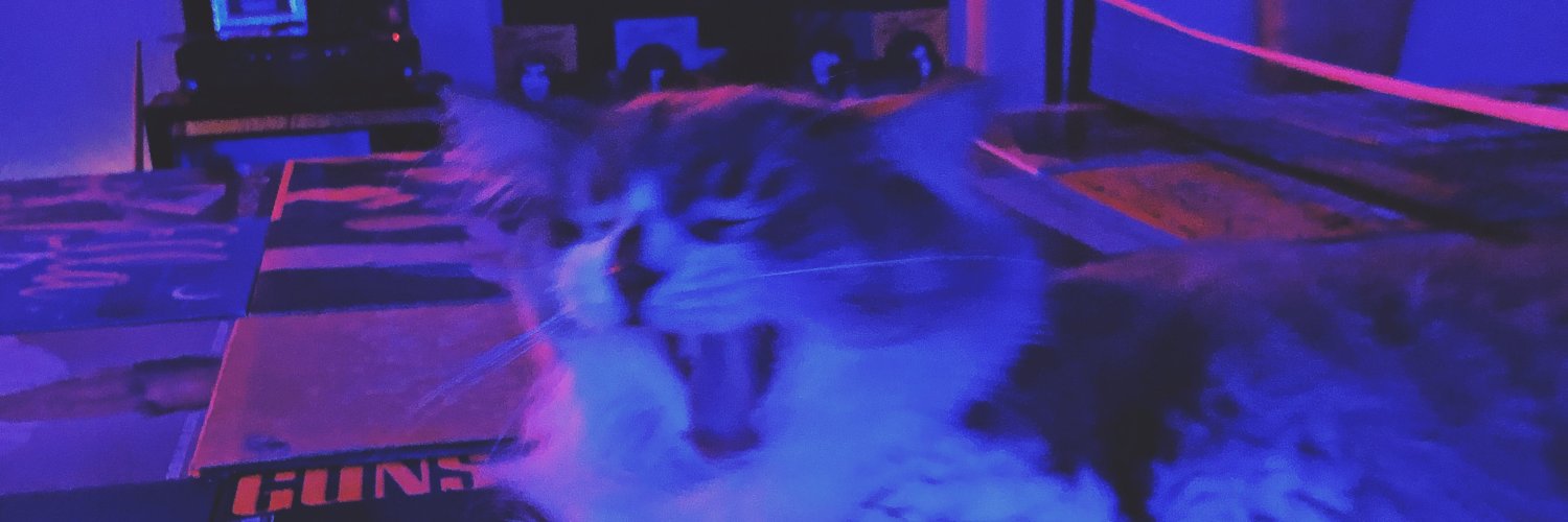 SteviwasSarah's profile banner image