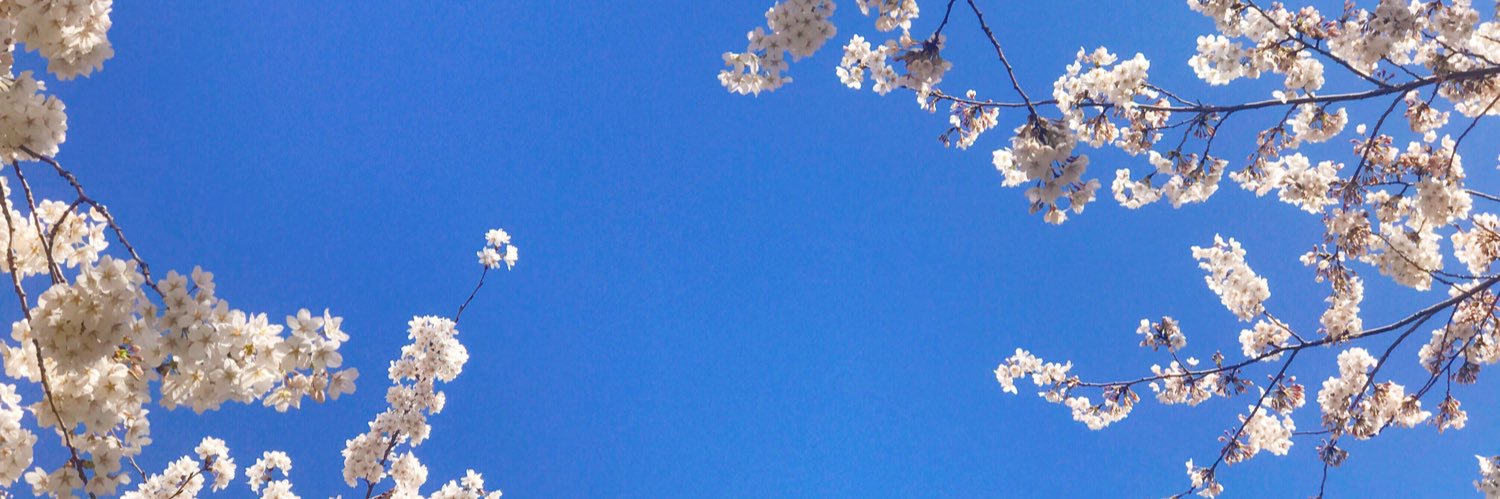 sissyAmylin's profile banner image