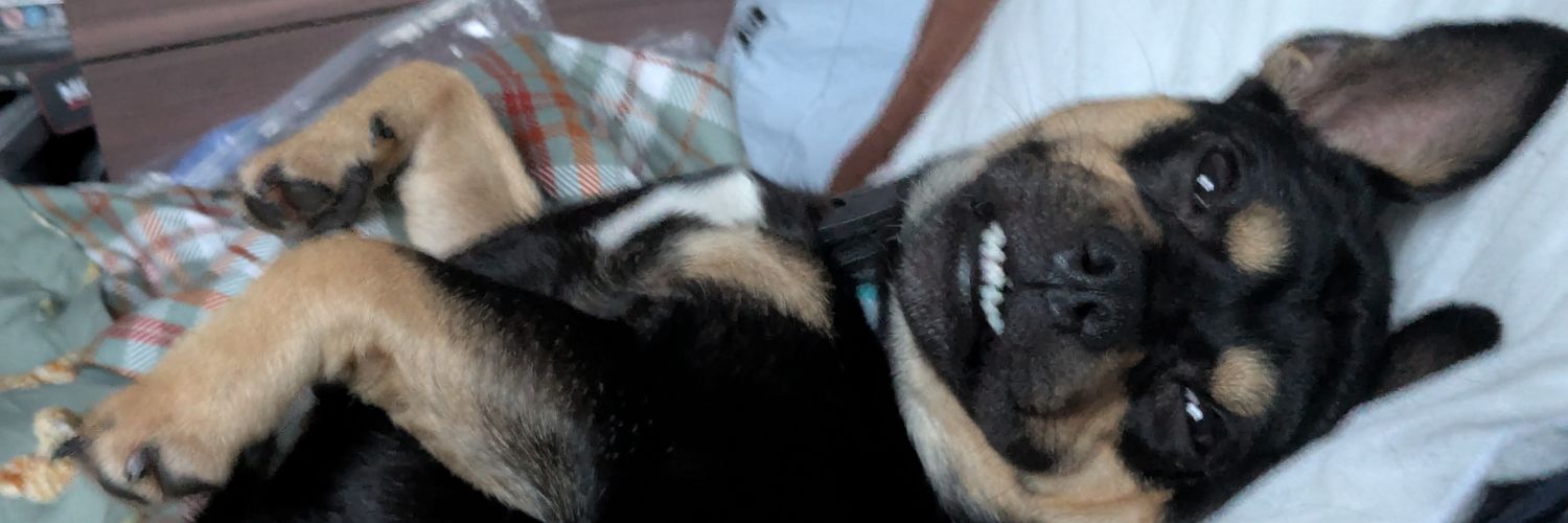 RJ_War36's profile banner image
