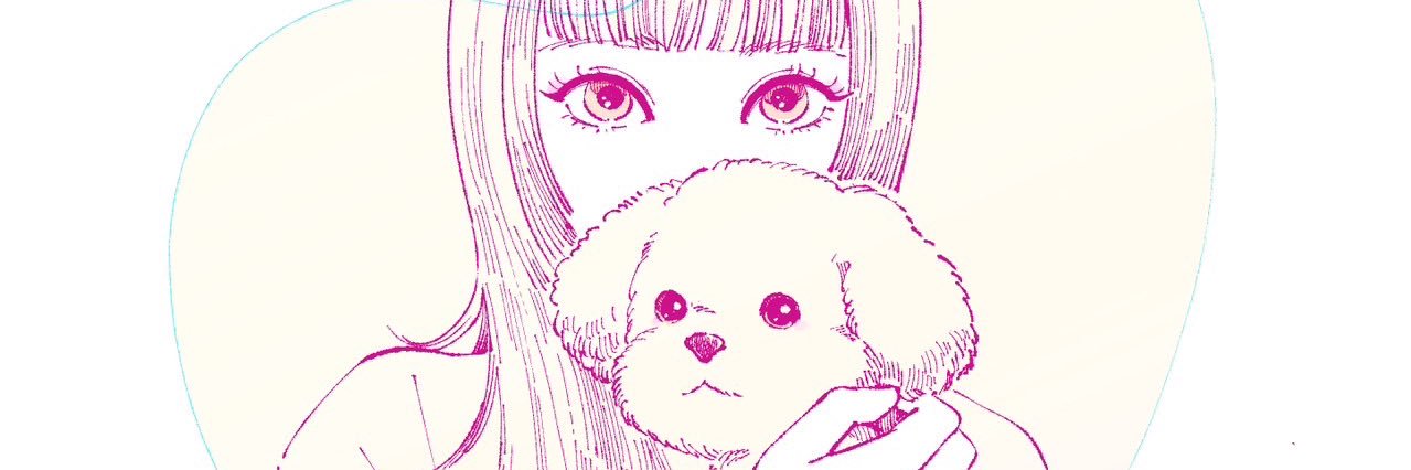 新垣里沙(Risa Niigaki) banner