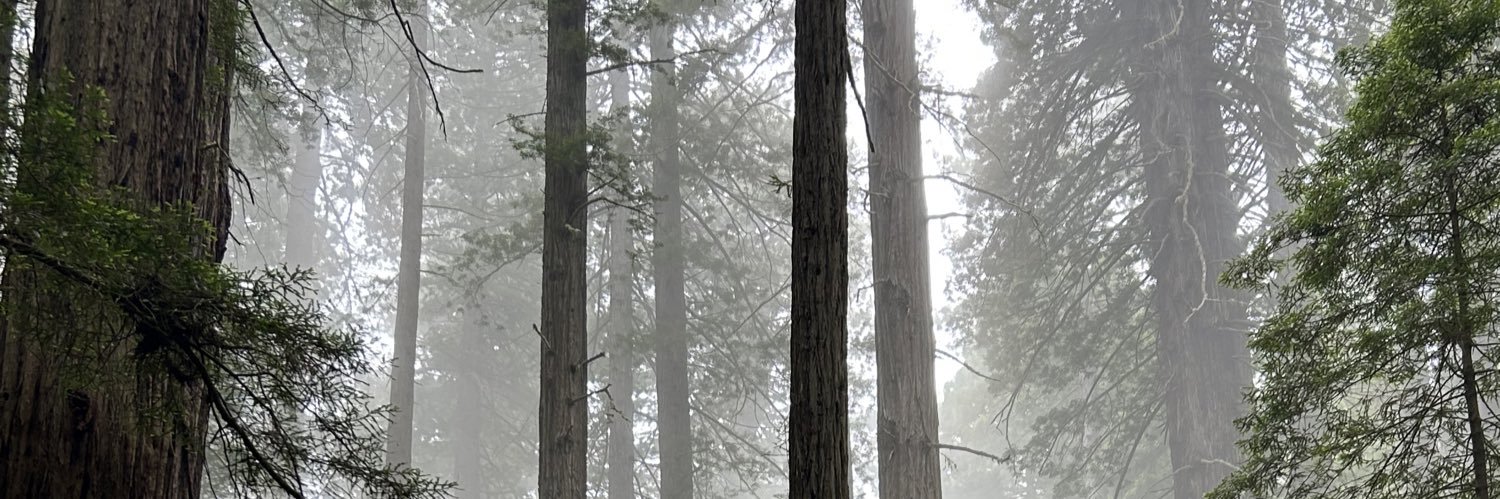 RealJaySommers's profile banner image
