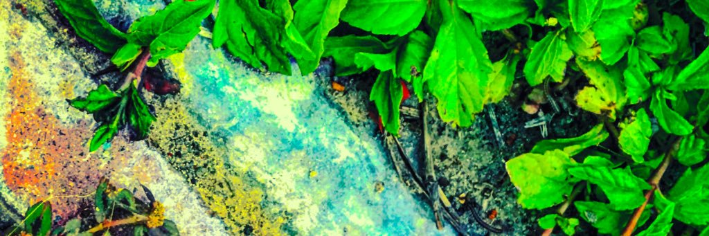Akram_Saif's profile banner image