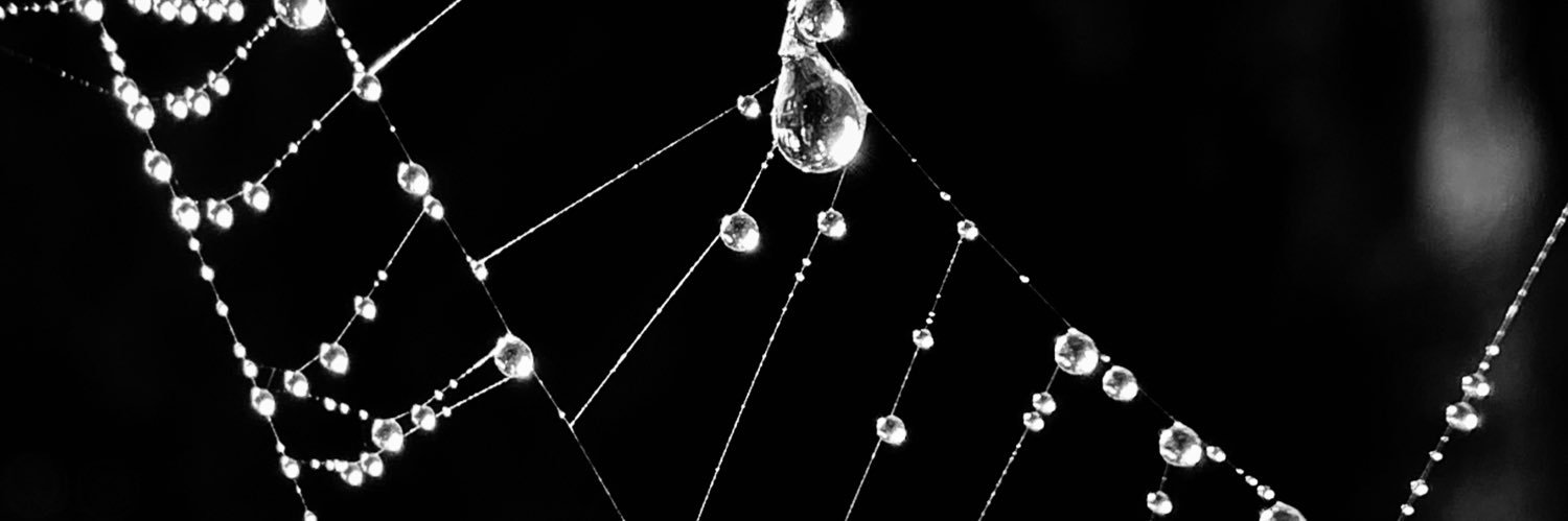 ☆Maë☆ banner