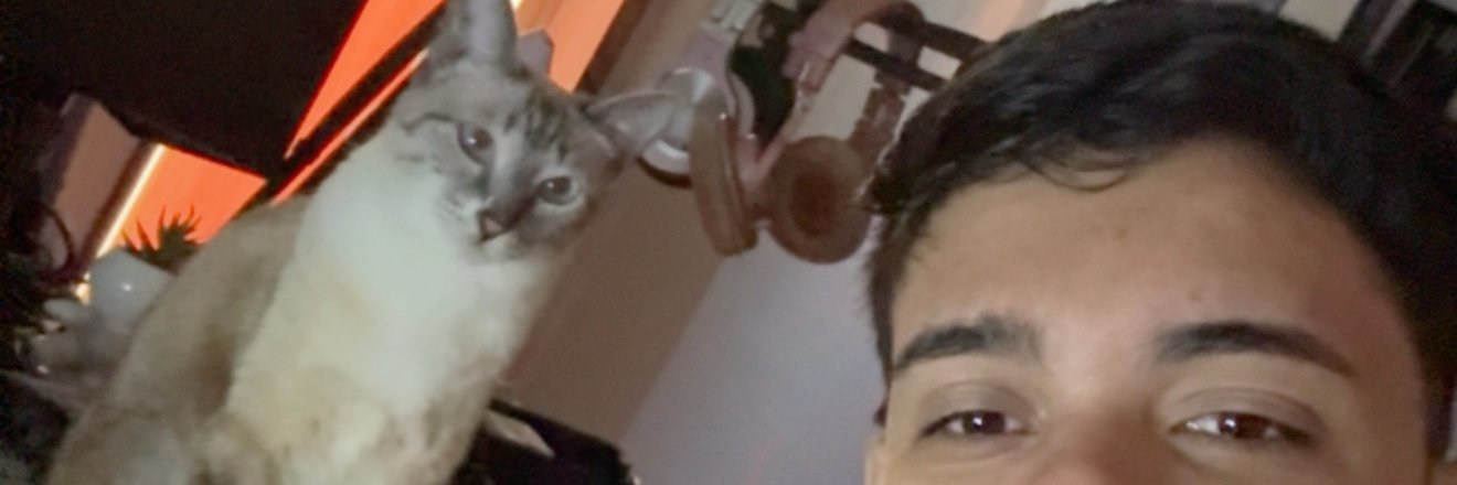 luixqueci's profile banner image