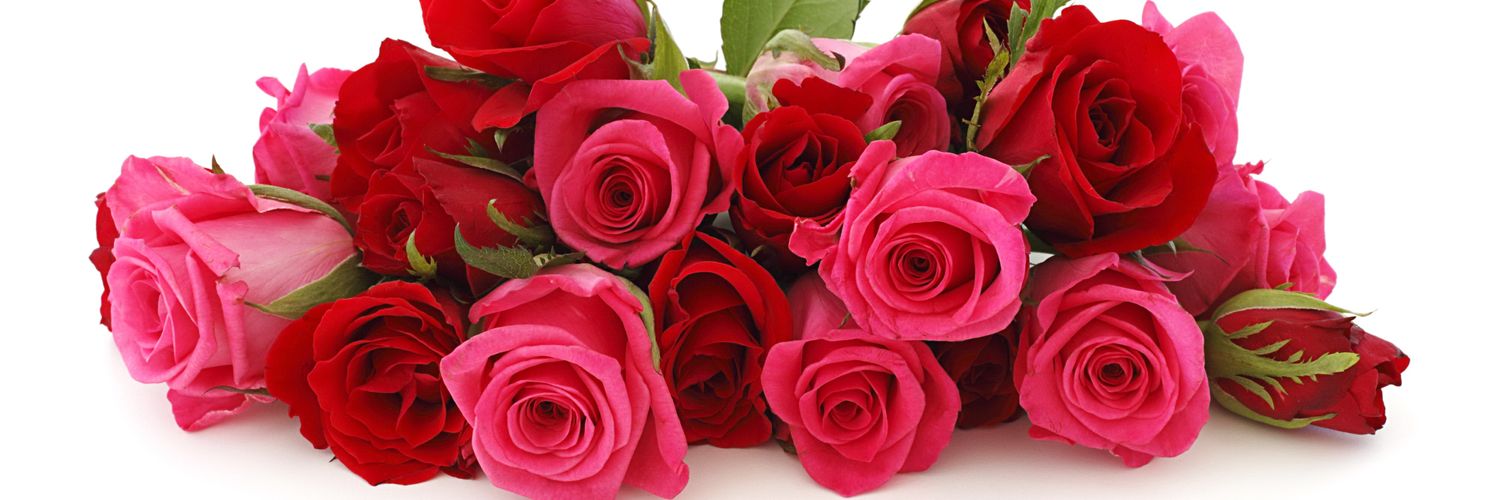 samina_I_A's profile banner image
