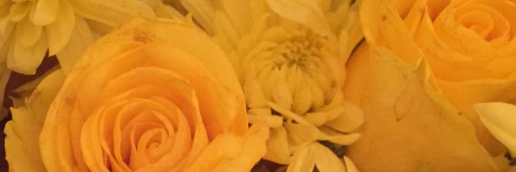 Loolate_Lola's profile banner image