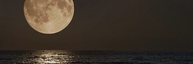 denizzelif's profile banner image