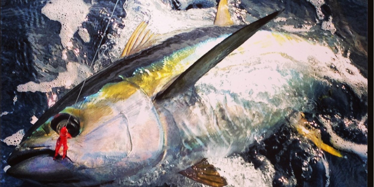 FishingDubai's profile banner image