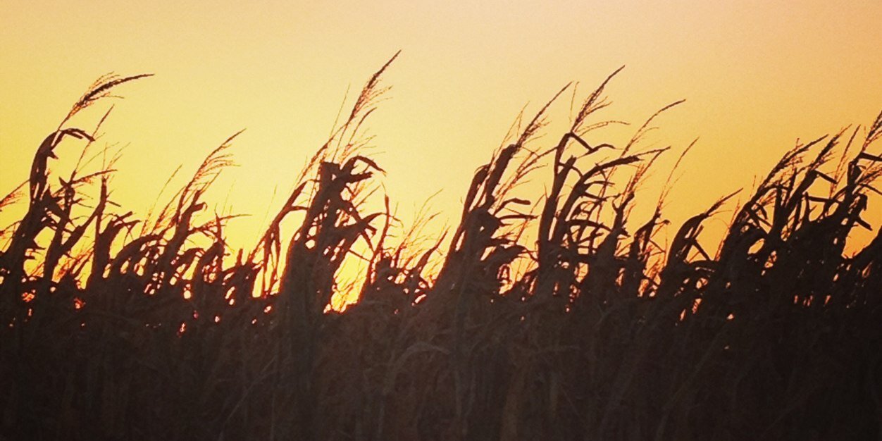abbymohr's profile banner image