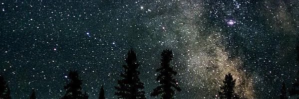 bulbulwritess's profile banner image