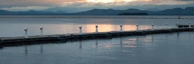 Abigail Carroll banner