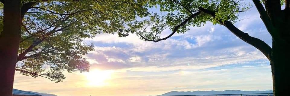 OMT0112's profile banner image