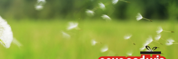 SaveAndWinGR Profile Banner