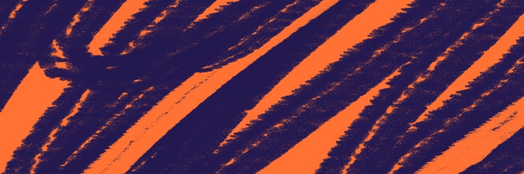 infewzed's profile banner image
