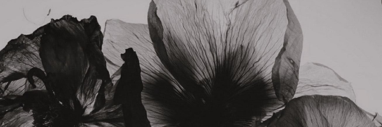 ☻ banner