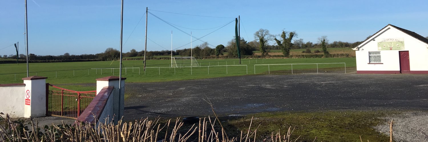 Delvin GAA Club banner