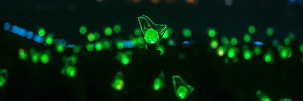 phat_37's profile banner image