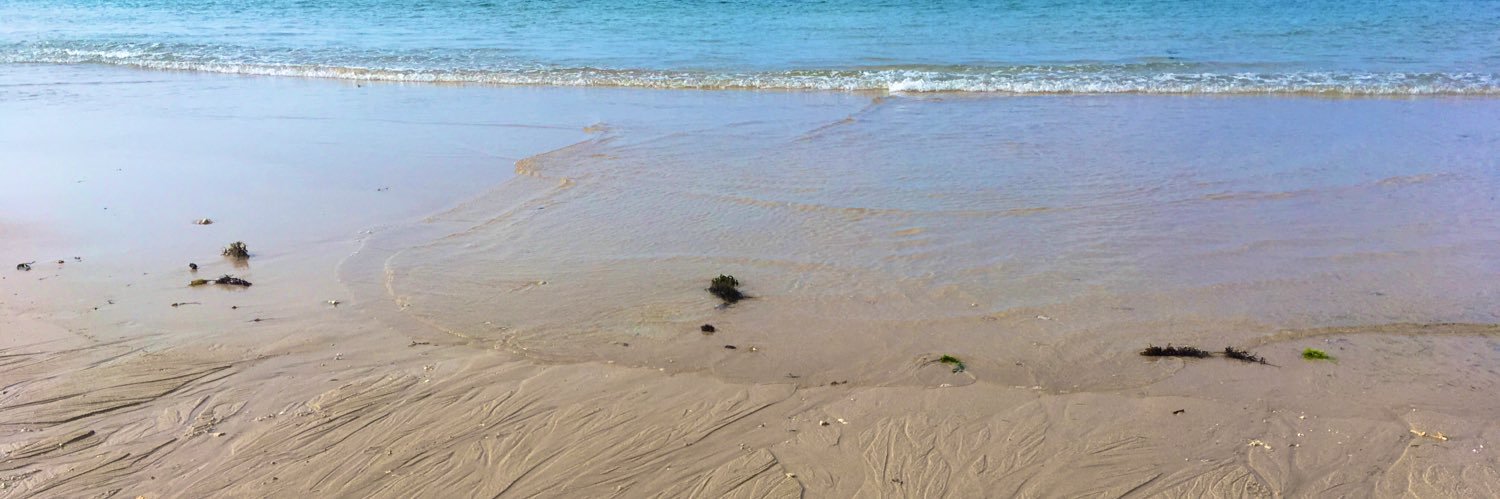 cheddar_dev's profile banner image