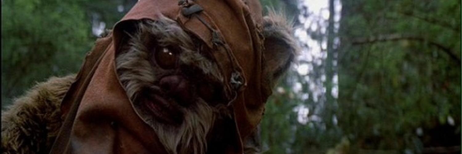 saramariesb's profile banner image