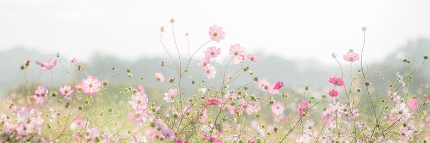 daniela_maika's profile banner image