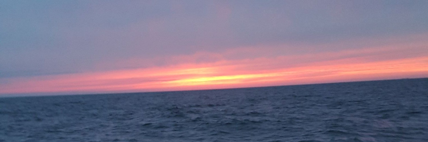 tatuki0812's profile banner image