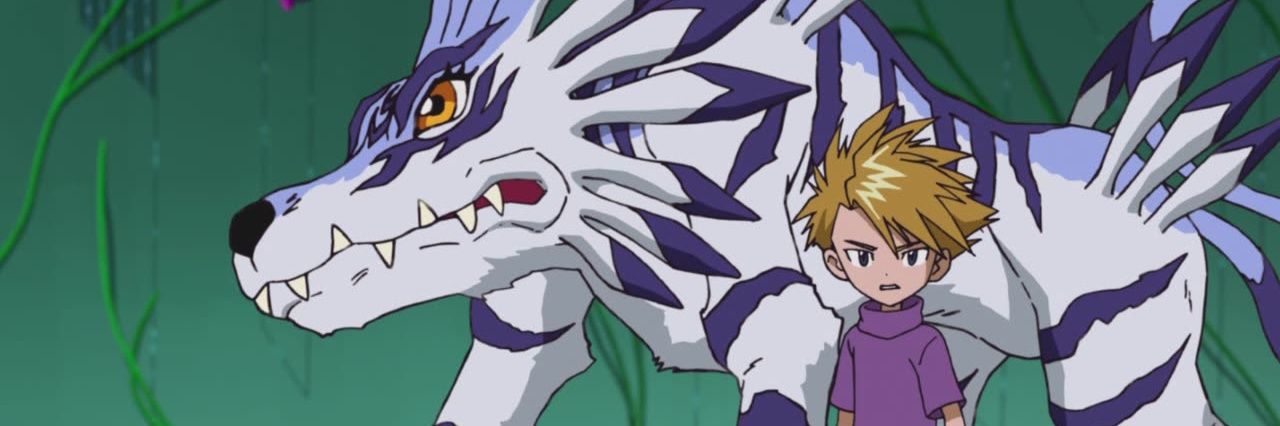 Railson Rodriguês banner