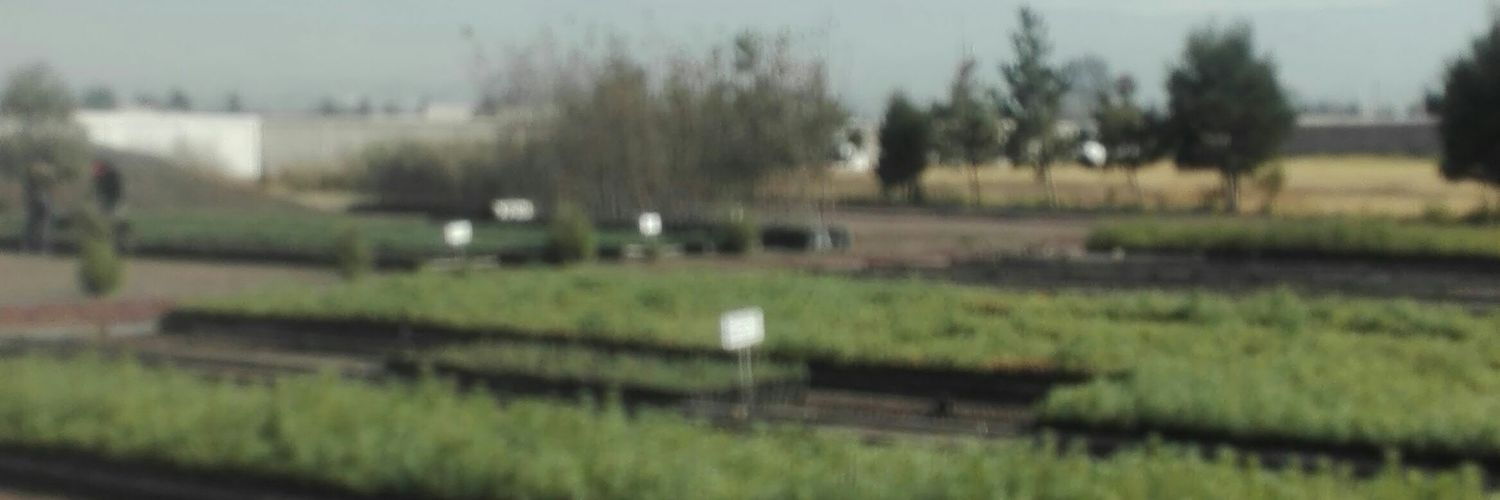 tockiem's profile banner image