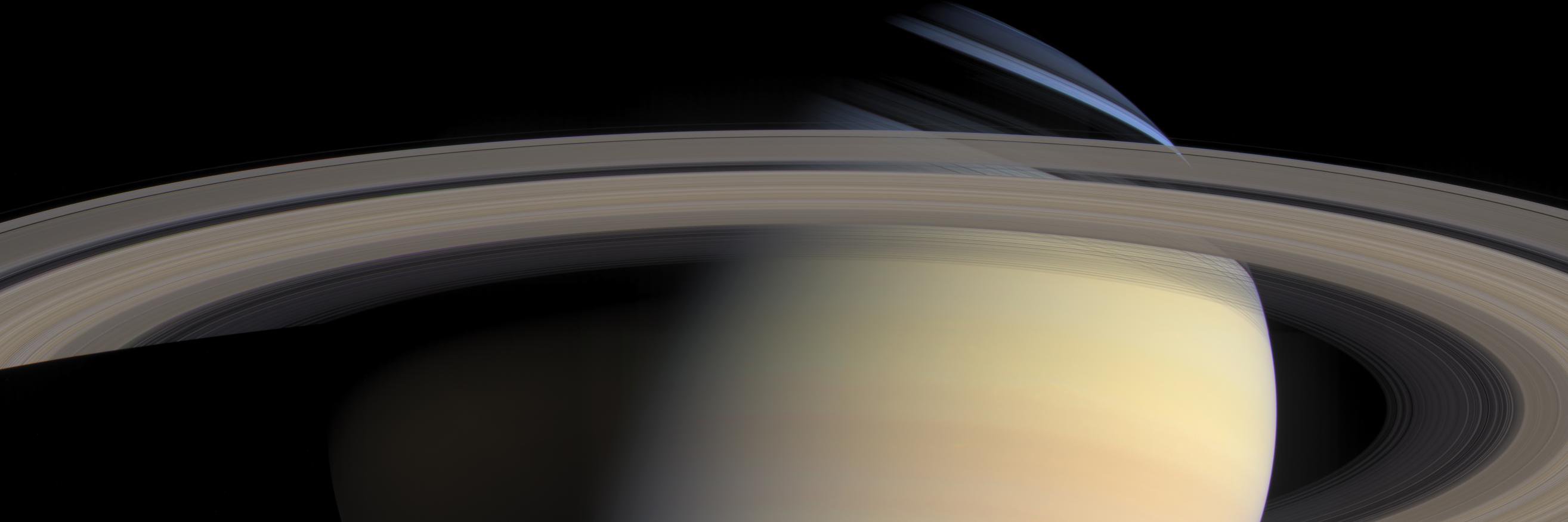 thefrogrules's profile banner image