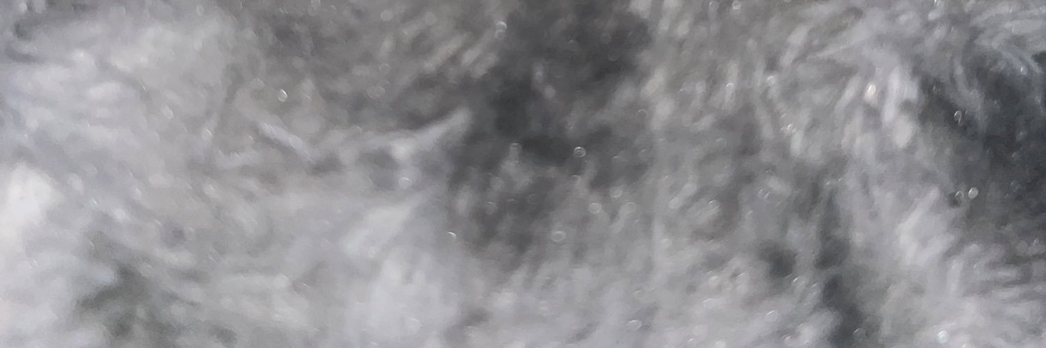 Queensheba___'s profile banner image