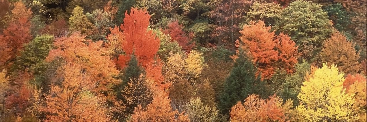 Jason "Plant milkweed!" banner