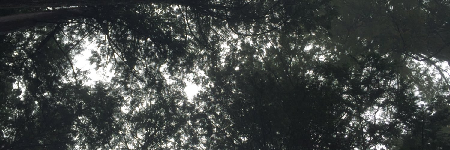 ImIMotoki's profile banner image