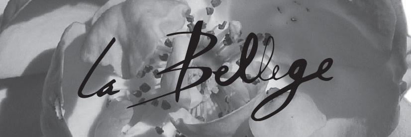 VSolbreux's profile banner image