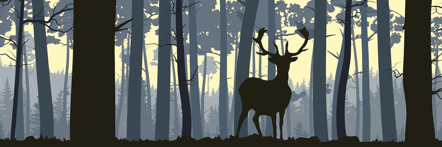 Hello Woodlands banner