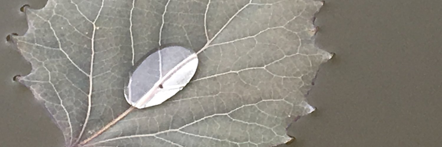 DonnaRuby4's profile banner image
