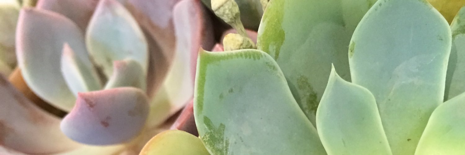 Emily (Emma) Dosmar (She/Her/Hers) banner