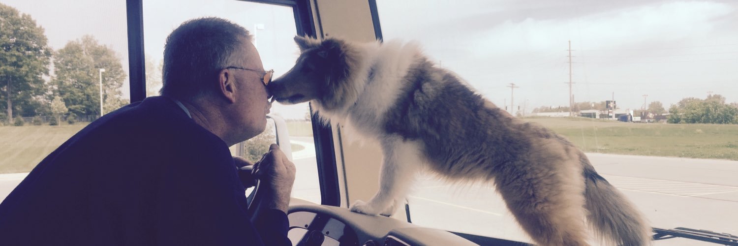 Race_Dog's profile banner image