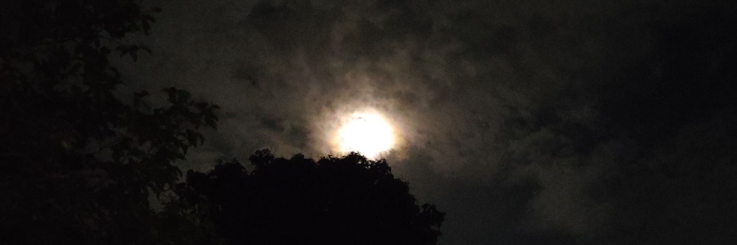 João Henrique banner