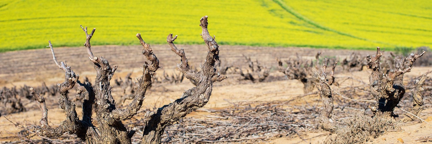 Darling Cellars banner