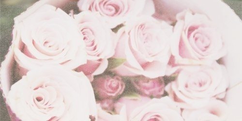 MNastya1's profile banner image