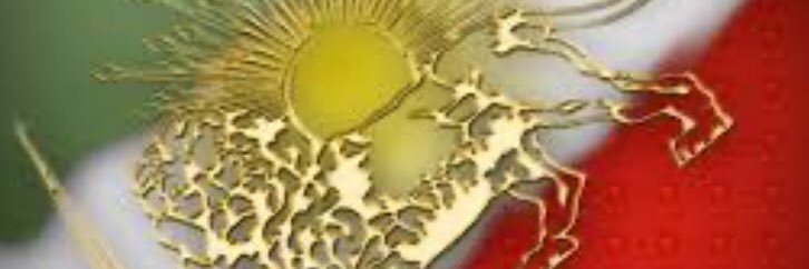surena2534's profile banner image