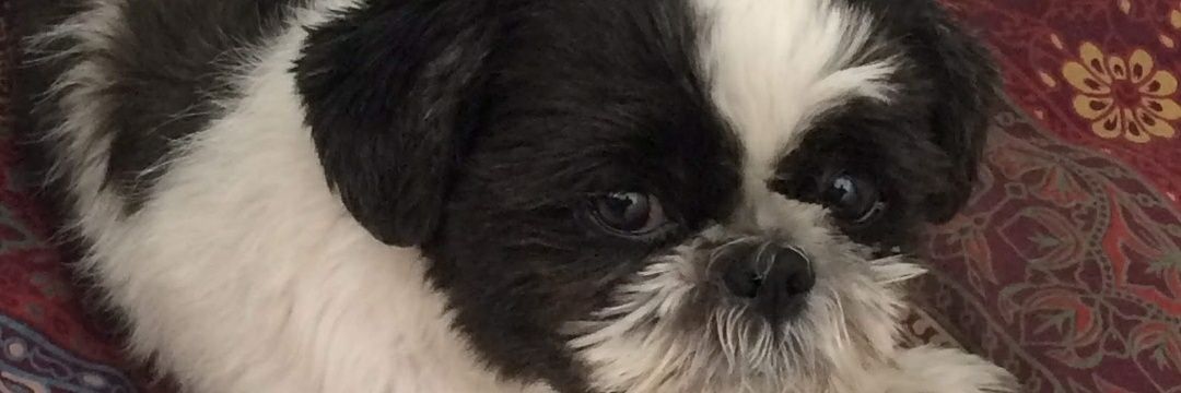 DavidOli_'s profile banner image