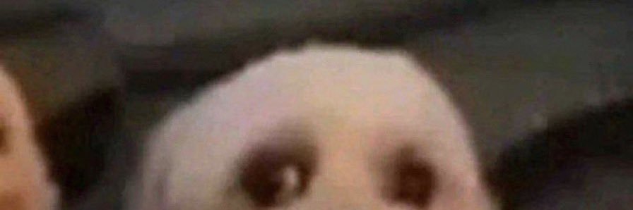 wuu banner