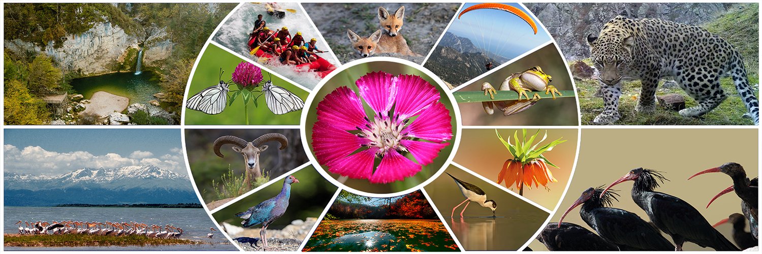 Milli Parklar banner