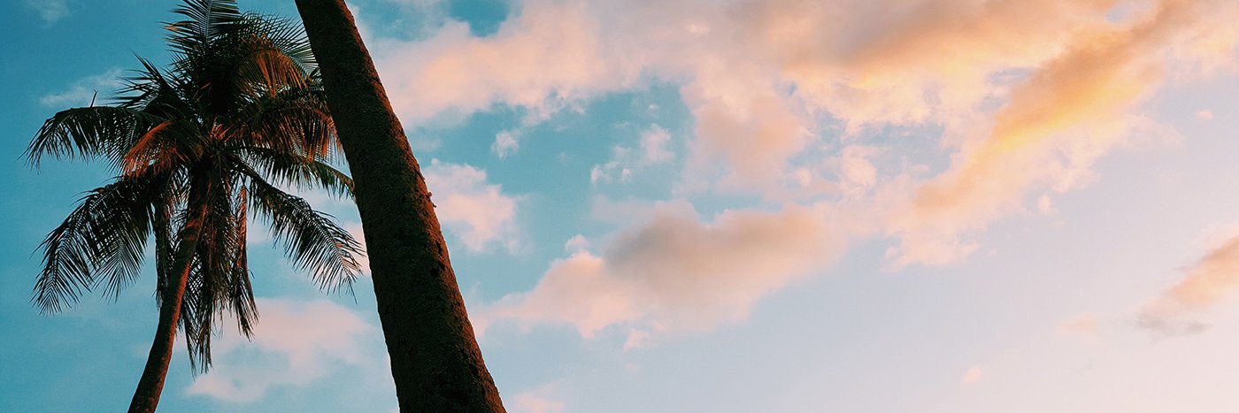LiilyGyal's profile banner image